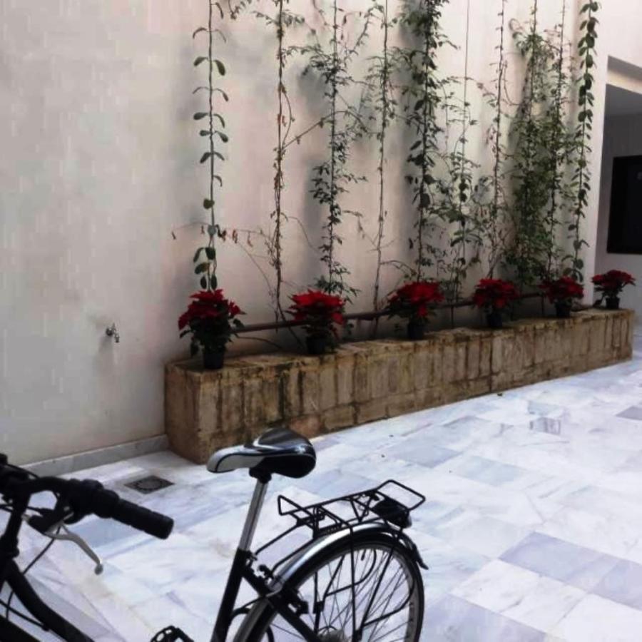 Estudio En Pleno Centro De Sevilla By Msholidays Εξωτερικό φωτογραφία